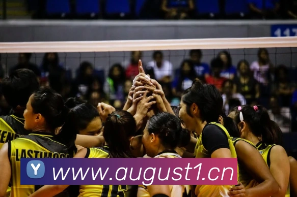 滚球买球的app平台生态图